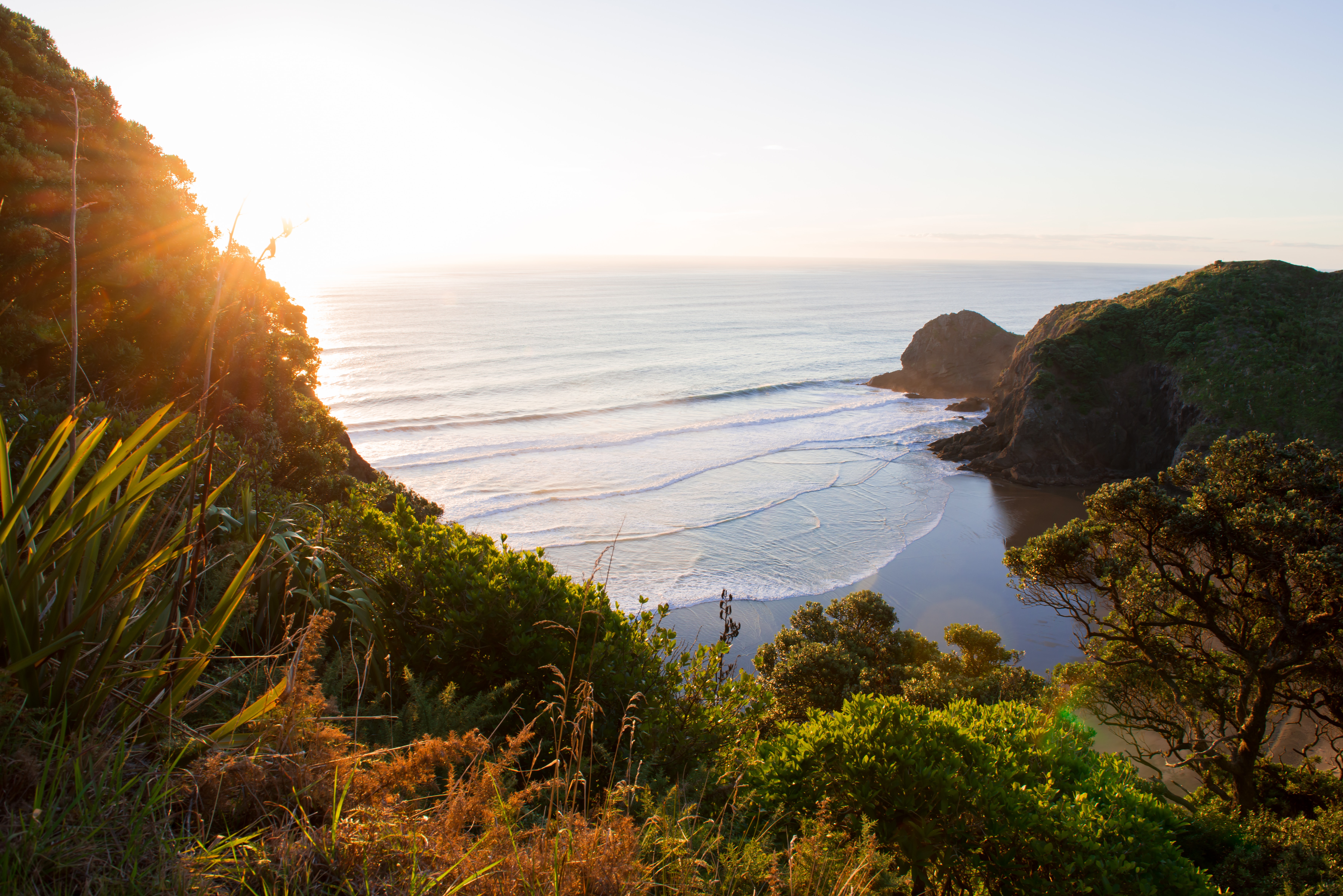 nz